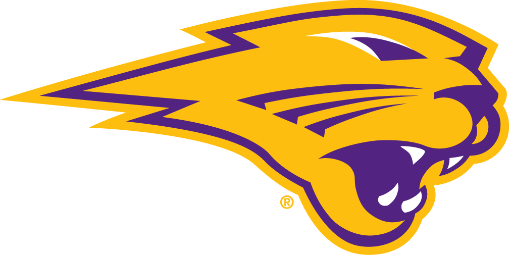 Northern Iowa Panthers 2015-Pres Secondary Logo iron on paper